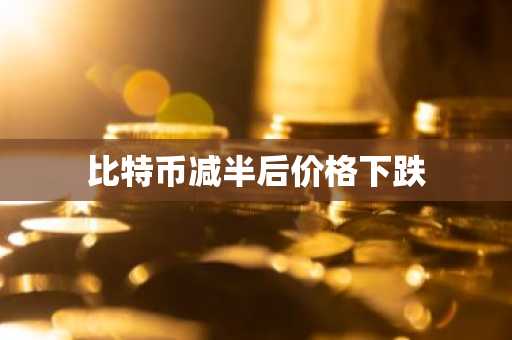 选择用什么usdt钱包好 网友极力推荐的十大usdt钱包很好用