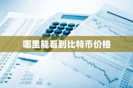 虚拟货币手机交易平台|中国的比特币交易平台有哪些