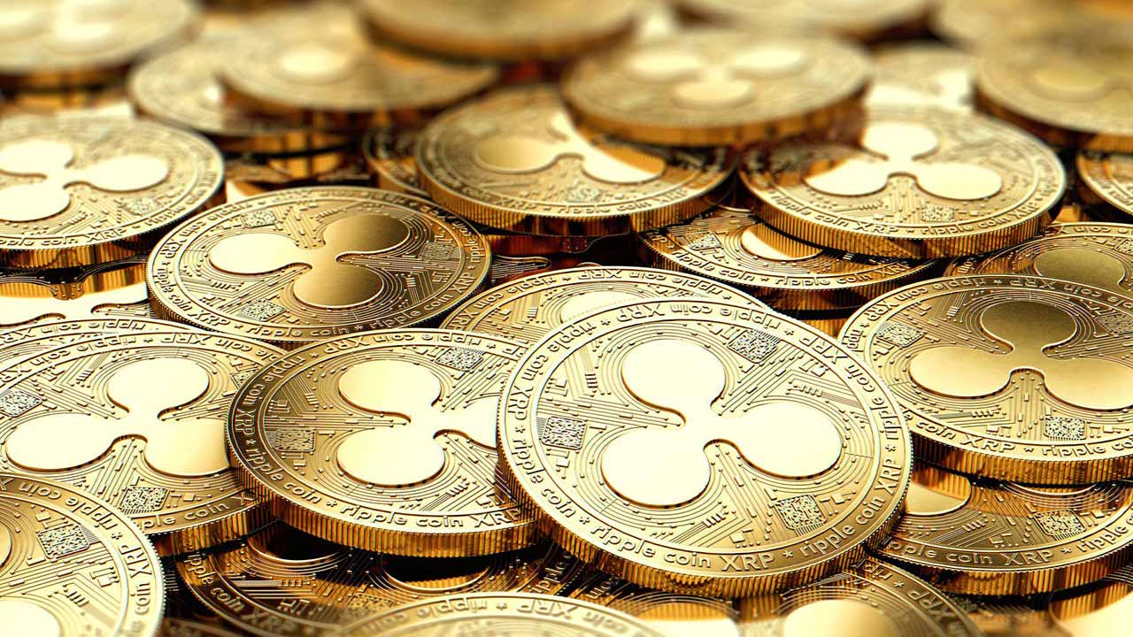 媒曝中超颁奖典礼从简进行预算额度恐不够50万-2013中超颁奖：里皮最佳教师孔卡MVP最佳阵容恒大7人-武磊膺选2024赛季中超最佳球员！ ，2025年世界新年登高健身大会 北京平谷分会场运动暨与子·山谷迎新跑