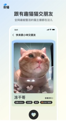 哈啰街猫 最新版截图1