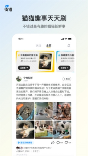 哈啰街猫 最新版截图1
