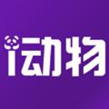 神奇动物世界app