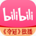 哔哩哔哩xpatch版手机版