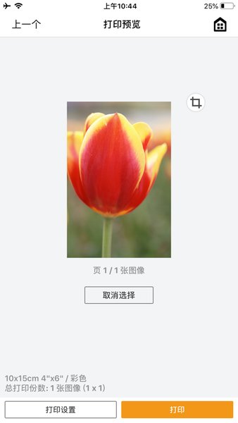 佳能selphy打印app下载最新版