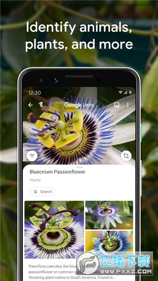 Google Lens(谷歌智能镜头)