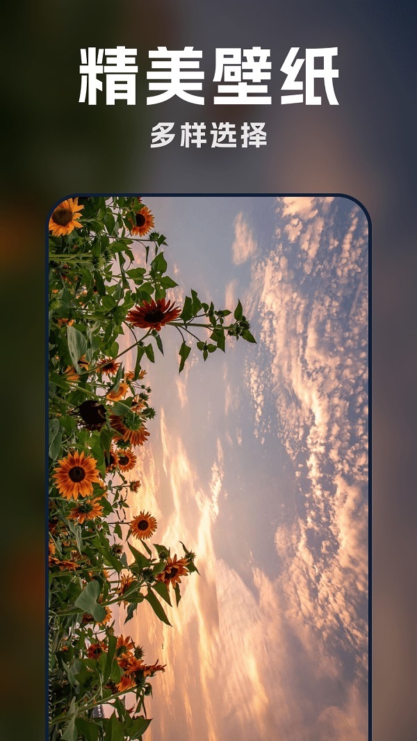 AI壁纸酷app官方版