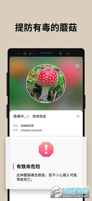 蘑菇识别扫一扫app