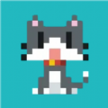 馋游猫官方app