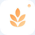 大麦相机商品拍照app