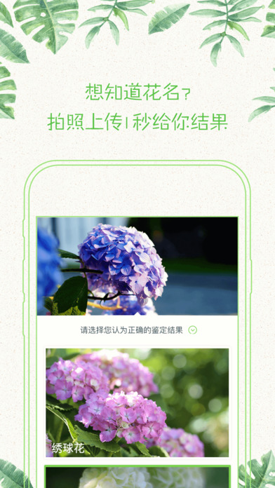 形色(拍照识别植物app)