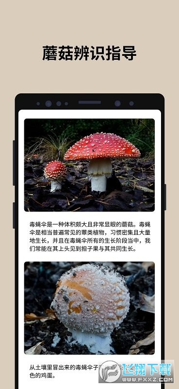 蘑菇识别扫一扫app