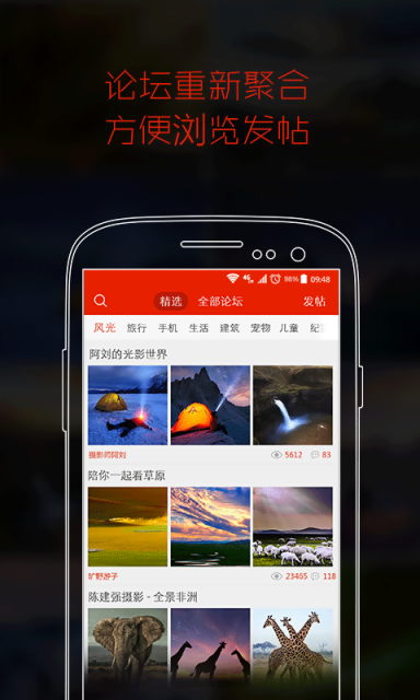蜂鸟摄影