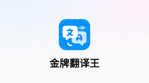 金牌翻译王