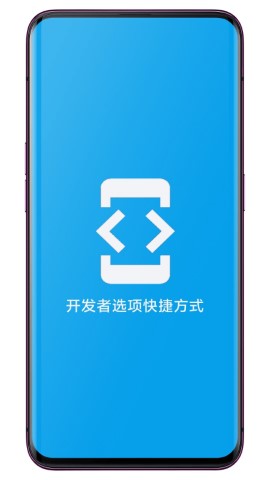 开发者选项快捷方式