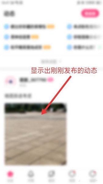 皮皮蟹语音包