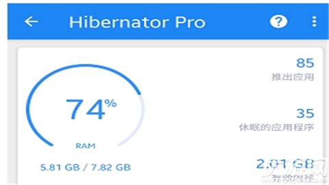 Hibernator Pro