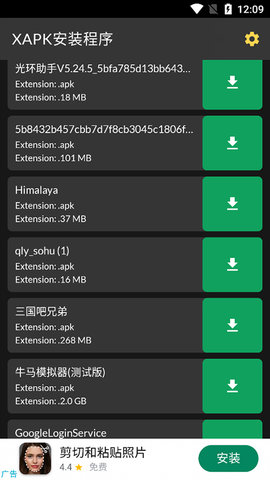 安大师xapk