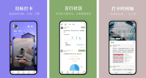 言必行打卡