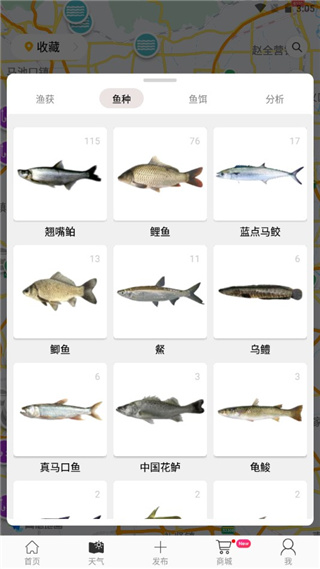 渔获潮汐
