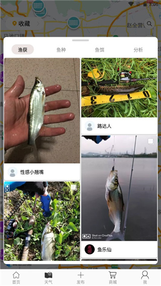 渔获潮汐