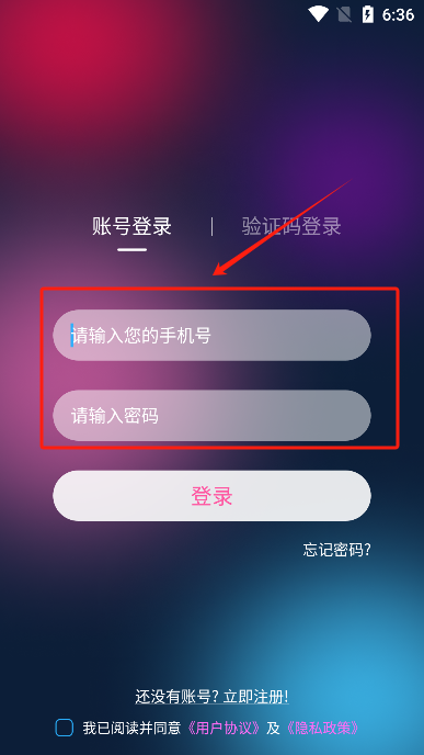 彩虹鸟