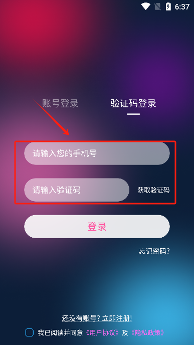 彩虹鸟