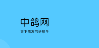 中鸽网
