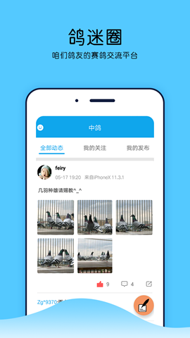 中鸽网