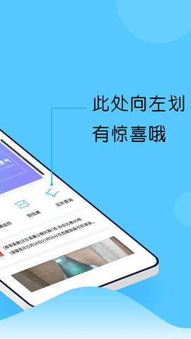 中鸽网